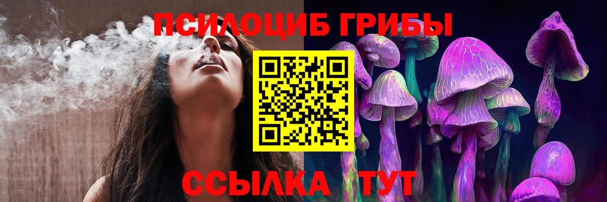 где можно купить наркотик  Псилоцибиновые грибы мицелий  Вход с VPN  Черногорск 